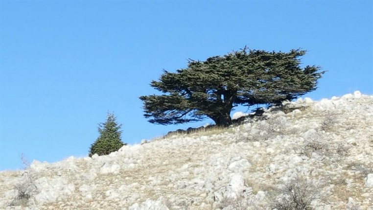 Porsche Club Ride to Shouf